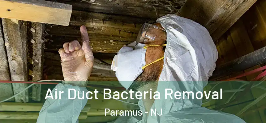 Air Duct Bacteria Removal Paramus - NJ