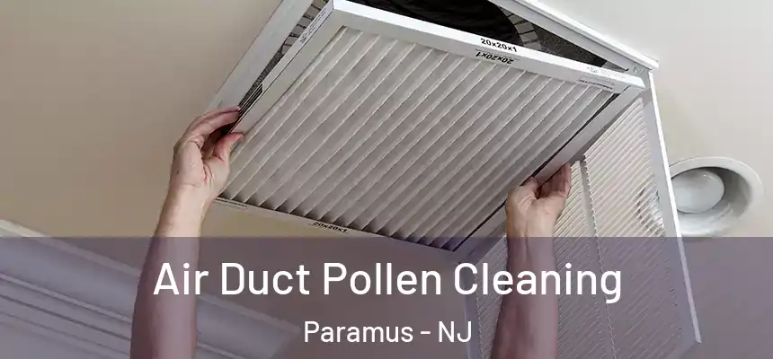 Air Duct Pollen Cleaning Paramus - NJ