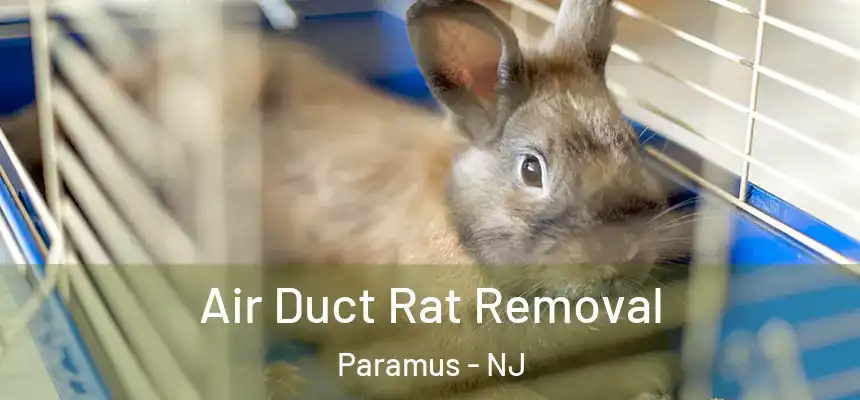 Air Duct Rat Removal Paramus - NJ
