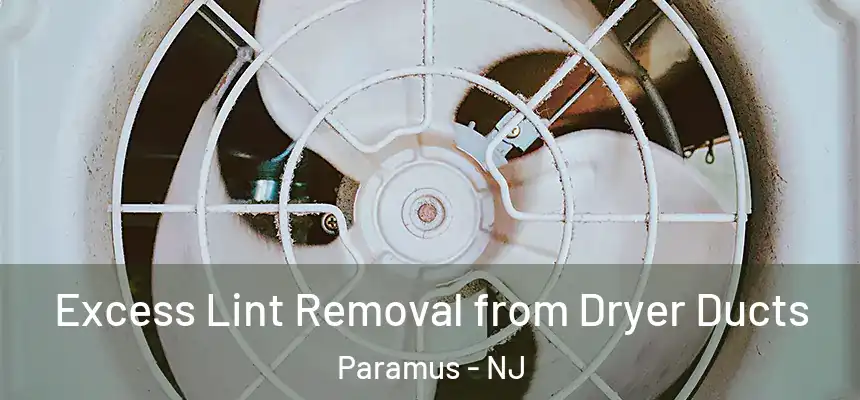 Excess Lint Removal from Dryer Ducts Paramus - NJ
