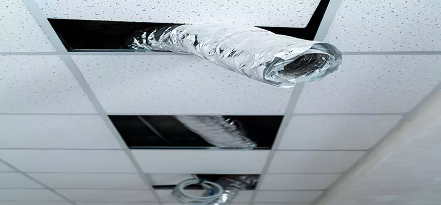 Our Air Duct Pet Hair Removal Services in Paramus, NJ