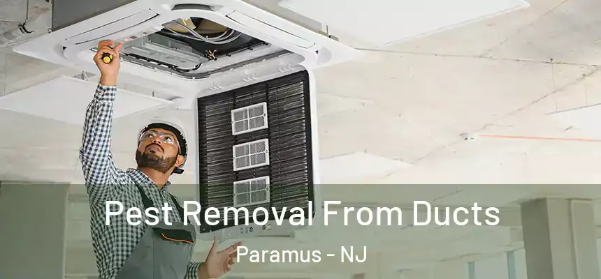 Pest Removal From Ducts Paramus - NJ