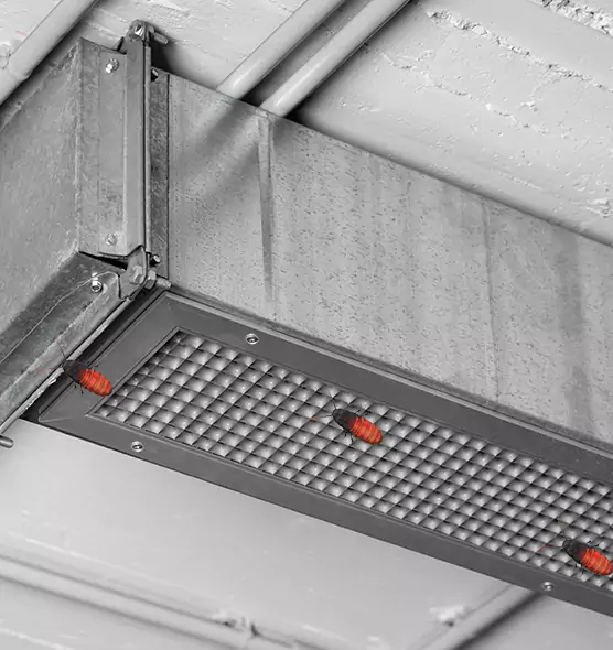 Affordable Insect Removal from Air Ducts in Paramus, NJ