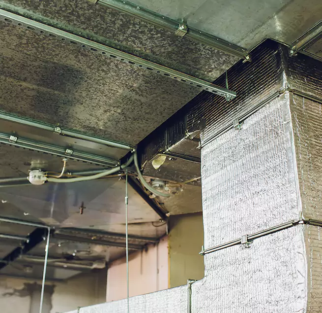 Why Homeowners & Businesses Trust Us in Paramus, NJ?