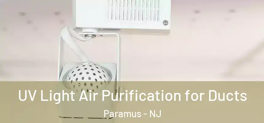  UV Light Air Purification for Ducts Paramus - NJ